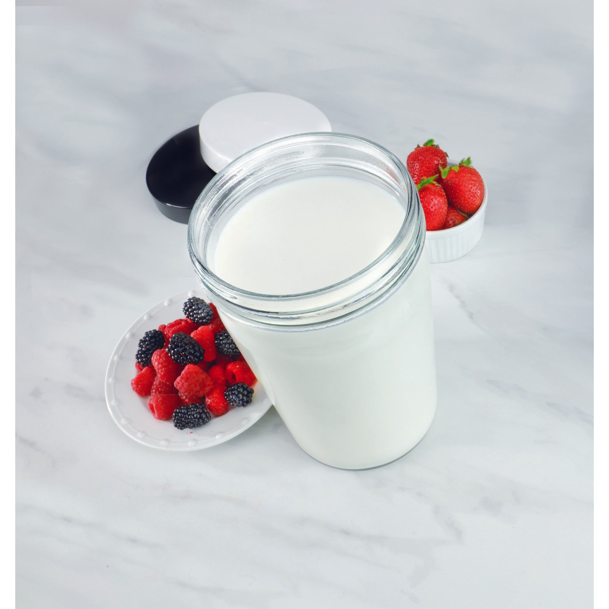 Euro Cuisine YM360 Probiotic Yogurt & Greek Yogurt Maker with Precision Temperature & Time Control, Black – 2qt Glass Jar, Cotton Strainer Bag & Thermometer Included (2025 Edition)